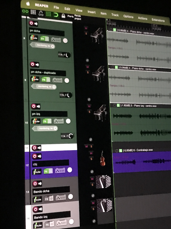 Vortunus Studio — dirección artística