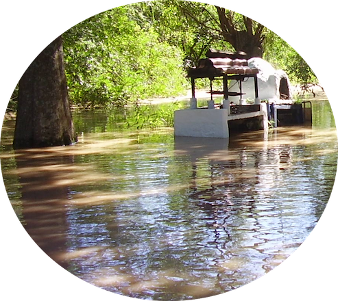 Música de Río